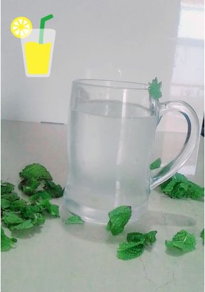 A picture of Shikanjbeen.