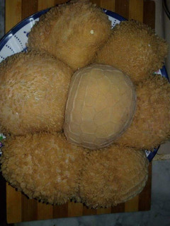 صورة لوصفة عصبان