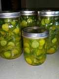 Bread & Butter Pickles