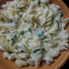 A picture of White sauce pasta.
