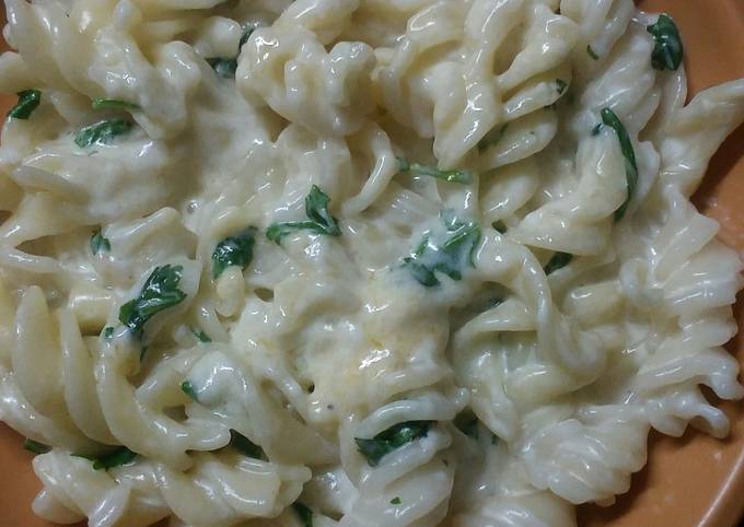 White sauce pasta recipe main photo