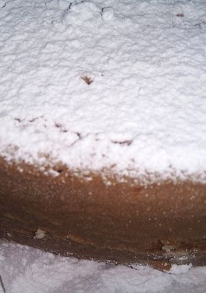 صورة لوصفة مسكوتشو خفيفة🍰🍰