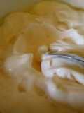 Mayonesa salsa madre (emulsión fría estable)
