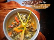 Gambar keong sawah