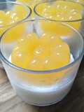 3. puding klamud markisa
