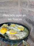 Parrilla de pescados