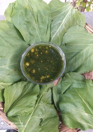 પાલક નું સૂપ (Palak Soup Recipe In Gujarati) રેસીપી મુખ્ય ફોટો