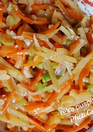 Foto resep Isian sayuran lumpia dan risol