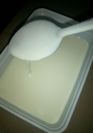 A picture of Homemade yogurt.