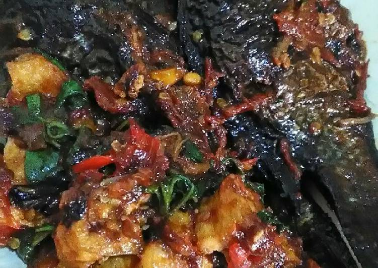 Resep Mujaer asap sambal kemangi yang Enak