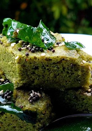A picture of Sprouted Moong Dhokla.