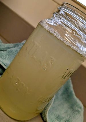 A picture of Limeade.