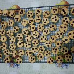 A picture of Crunchy Milk Cheese Cookies.