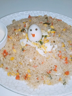 A picture of Egg fried Rice with mayo garlic sauce.