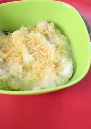 A picture of Bottle gourd raita.