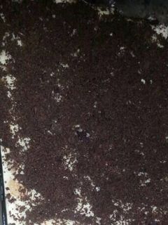 صورة لوصفة حلا طبقات