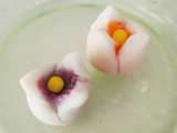 tulip