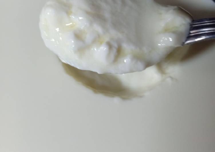 Yoghurt Homemade