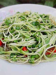 รูปของ ผัดต้นอ่อนทานตะวัน