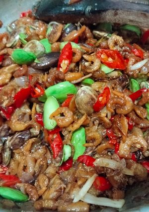 Foto resep Tumis ebi petai cabe rawit