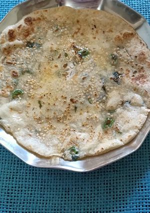 A picture of TIL masala bhakri.