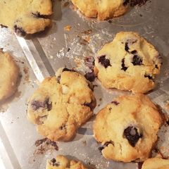 A picture of Keto Macadamia & Berry Scone.