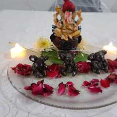 A picture of માવા મુષક મોદક.
