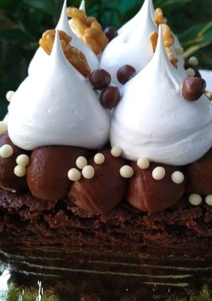 Una foto de Brownie 🍫