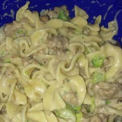 A picture of Day before payday beef stroganoff.
