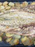 Corvina al horno con patatas y cebolla