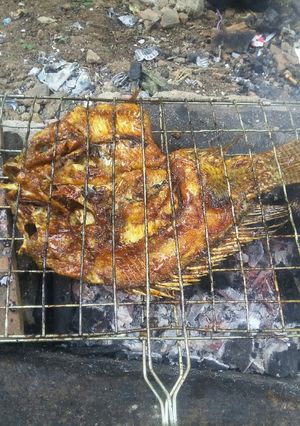 Foto resep Ikan Nila bakar