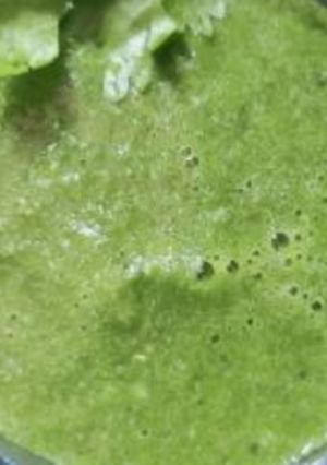 A picture of Tikhi pudina chutney.