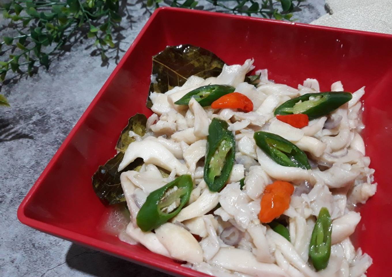 TUMIS JAMUR TIRAM ala Bebek K*leyo