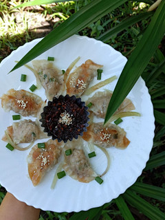 Foto resep Gyoza Daging
