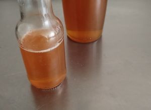 Una foto de Licor de Miel de abeja🐝
