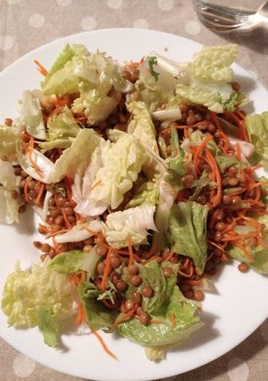 Foto principal de Ensalada de lentejas