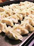 100 Homemade Vegetable-Filled Pan-Fried Gyoza