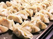 A picture of veg dumpling