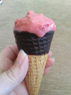 Una foto de Helado light