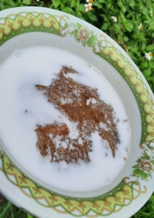 Foto resep Bubur Singkong