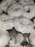 Rosquetes
