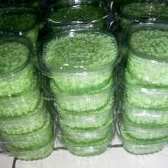 Puding Lumut Pandan-レシピのメイン写真