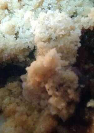 A picture of GF Blueberry Crisp.