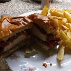 A picture of Zinger Burger.