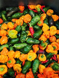 Foto di Peperoncini: da Jalapeno a Chipotle & Scotch Bonnet ripieni 🌶️