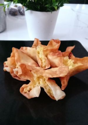 Foto resep Pangsit Nasi