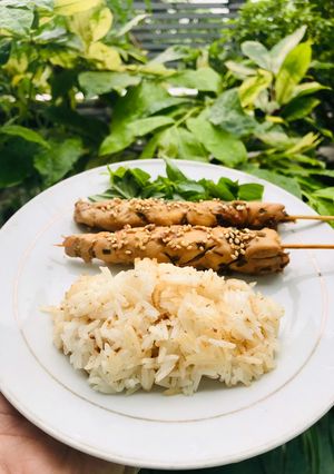 Hình của món Ăn dặm: thịt gà xiên que terayaki.