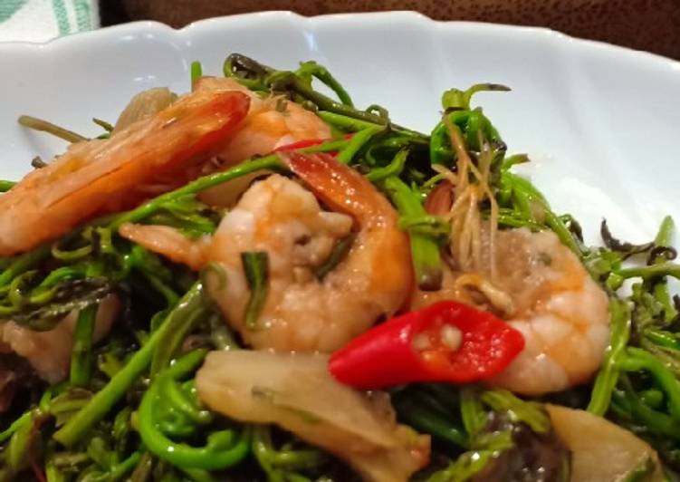 Resep Pakis Saos Udang yang Lezat