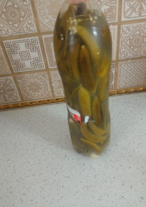 عکسی از دستور خیار شور