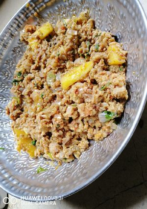 A picture of Qeema fry.